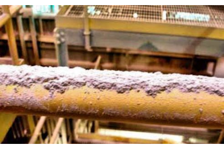 food dust